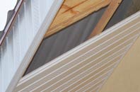 rated Earlstone Common soffit repair companies